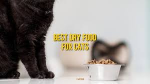 Best Dry Cat Food Top Vet Recommended Dry Foods For Cats
