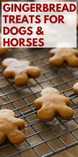 Easy Gingerbread Treats For Dogs And Horses Dog Cookie Recipes Healthy Dog Treats Homemade Dog Biscuit Recipes