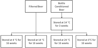 Vitamins In Brewing Effects Of Post Fermentation Treatments