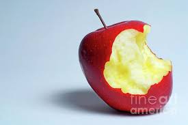 Half Eaten Red Apple By Sami Sarkis Red Apple Apple Fruit Photography
