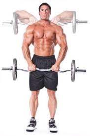 Different Curl Bar Exercises Flash Sales Up To 54 Off Www Grupoenfoca Com