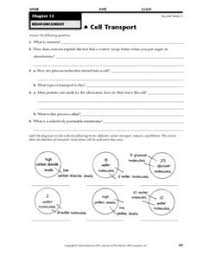 Students will have to identify the hypotonic and hypertonic side of the membrane. Active Transport Lesson Plans Worksheets Lesson Planet