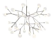 Image result for Heracleum