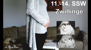Wir alle kennen die typischen ab wann man von fieber spricht, ist jedoch sehr unterschiedlich. 11 14 Schwangerschaftswoche Zwillinge Babybauch Symptome Ooffenbar Youtube