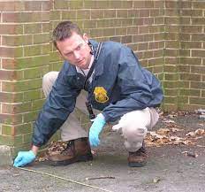 How To Become A Crime Scene Investigator -