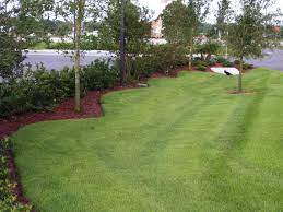 Pin On Zoysia