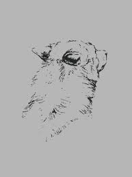 Can exercise improve my posture and coordination? your toning program do the entire. Jason Grace Edit Explore Tumblr Posts And Blogs Tumgir