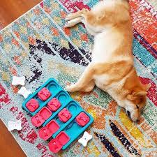 Check spelling or type a new query. What Are The Best Puzzle Toys For Dogs Who Get Bored Easily Barkpost