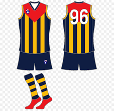 Hawthorn hawks full afl playing list and stats. Cheerleading Uniformen Hawthorn Football Club North Melbourne Football Club In Der Australian Football League Jersey Andere Png Herunterladen 660 876 Kostenlos Transparent Kleidung Png Herunterladen