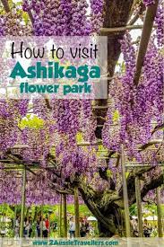 Are Wisteria Tunnels And Gorgeous Gardens On Your Japan Wishlist Day Trips From Tokyo Japan Travel Guide Wisteria Japan