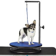 Master Equipment Small Pet Grooming Table Blue Details Can Be Found By Clicking On The Image This Is An A Cat Grooming Pet Grooming Dog Grooming Supplies