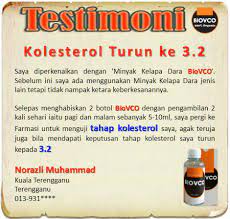 Hindari dampak terburuk kolesterol tinggi! Makanan Punca Kolesterol Tinggi