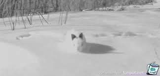 Weitere ideen zu schnee, schneeskulpturen, schnee kunst. Schneehase