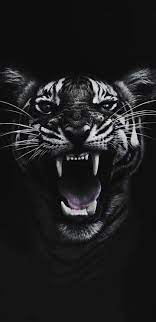 Here are only the best 4k dark wallpapers. 4k Ultra Hd Black Wallpapers Tiger Wallpapers For Android And Iphone Batman Joker Wallpaper Tiger Wallpaper Black Wallpaper