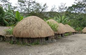 Rumah Adat Papua Rumah Honai Gambar Dan Penjelasannya Arsitektur Arsitektur Hijau Gambar