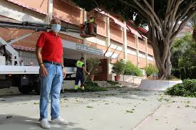 Fuengirola Desarrolla Un Plan De Actuacion En Las Zonas Verdes De Los Colegios De La Ciudad Fuengirola