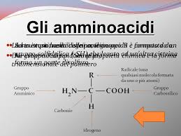 Ordina per proteine o filtra per categoria di alimento. Riconoscimento Delle Proteine Negli Alimenti Classe Iids Iis A Ppt Scaricare