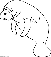 Get to know the whimsical, mellow creature that few of us ever get to see. Simple Manatee Coloring Page Coloringall