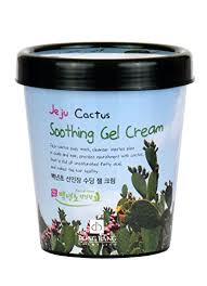 This wide range of nutrients and more can help reduce inflammation in the body. Jeju Prickly Pear Soothing Gel Face And Body Moisturizer 10 14 Ounces Buy Online In Antigua And Barbuda At Antigua Desertcart Com Productid 55943880