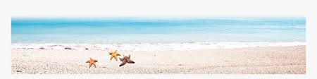 Get inspired with our collection of beach sunset pictures for free. Transparent Beach Shore Clipart Starfish Hd Png Download Kindpng