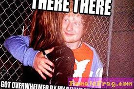 The best ed sheeran memes on the internet, ever! Die Besten Ed Sheeran Memes Im Internet Ever Promis Unterhaltung 2021