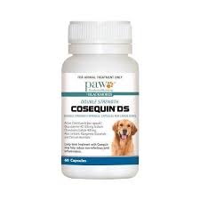 Details About Paw Cosequin Ds Double Strength Anti Inflammatory Capsules For Dogs 60 Pack