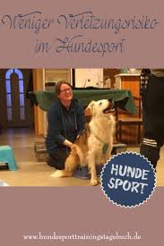 Deinen Hund Neu Kennenlernen Weniger Verletzungsrisiko Im Hundesport Hundesport Hunde Trainingstagebuch