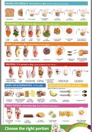 Recommend Daily Intake And Handy Portion Size Guide Coolguides