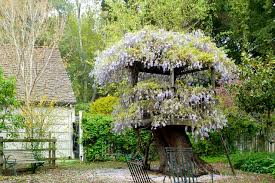 Check spelling or type a new query. 12 Fun Backyard Forts Grown Ups Can Love Too