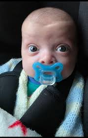 Hi all! I just wanted to introduce myself and share a photo I took