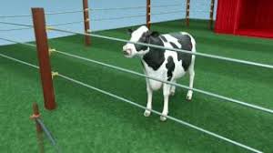 There are a number of issues to consider when mapping out your fencing strategy, and choosing the right charger is one of the biggest. How Electric Fencing Works Youtube