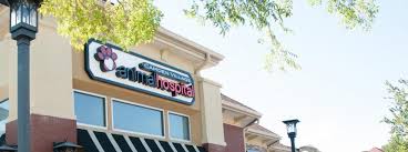 At crescenta cañada pet hospital, our team is passionate about providing the highest level of care and treatment for your pets. Camden Village Animal Hospital