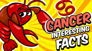 It represents the native's family, ancestors, roots, and home, both the home lastly, polarities divide the zodiac into two groups of six signs. Interesting Facts About Cancer Zodiac Sign Youtube