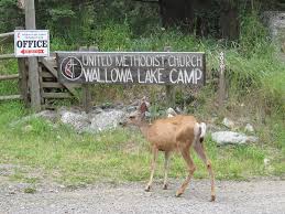 Maybe you would like to learn more about one of these? Wallowa Lake Homepage