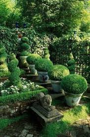 Gartenliebhaber Eingetopfter Buchsbaum Verleiht Ihrem Garten Mehr Dimension Quot Garten Garten Ideen Garten Gewachshaus