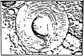 FM: DRUG DELIVERY SYSTEMS: Second Edition