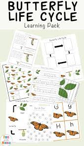 Butterfly Life Cycle Learning Pack Life Cycle Learning Butterfly Life Cycle Life Cycles Preschool