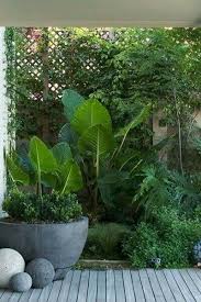 Cro Asian Tropical Landscape Design Courtyard Gardens Design Small Courtyard Gardens