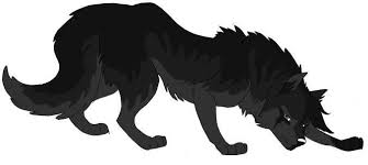 Wolf's rain (stylized as wolf's rain) is a japanese anime television series created by writer keiko nobumoto and produced by bones. Anime Black And White Wolf Black And White Anime Wolf Love