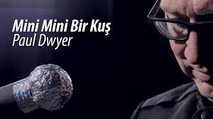 Mini Mini Bir Kus Cocuk Sarkisi Klasik Gitar Paul Dwyer 50 Youtube