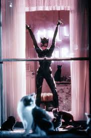 Cat Woman In 2020 Paula Patton Actress Christina Batman Returns