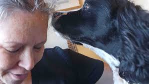 Fundraiser for Emma Nelson by Ashleigh Murphy : Help Emma get a wheelchair  to keep her MerryPaws dream alive