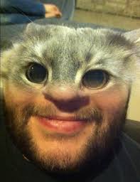 The funny face app for iphone has seven categories with 23 different filters, copa 2016, animals, movies, faces, fun facecamera has the best face changer and photo editor for android users. 15 Funny Faces And Funny Faces Apps For Free On Android And Iphone