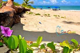 Check spelling or type a new query. Isla Verde Beach Puerto Rico Guide To Beaches Hotel On The Beach