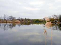 Potsdamer brandenburger havelseen, tourist information. Archiv Grundstuck Zum Verkauf Havelsee Mapio Net
