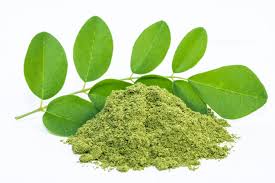 Image result for Moringa