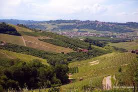 Photo session, shooting in exotic places, on the beach, in the summer by the sea. The 25 Best Producers Of Barbaresco