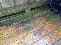 How to get rid of mold under your deck? Help My Patio Deck Is Turning Green