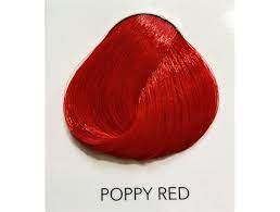 #personal.txt #directions hair dye #poppy red. Directions Poppy Red Hair Dye Nyctophilia Gothic Shop Hamburg