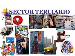 Sector terciario